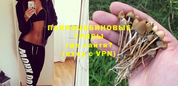 ALPHA-PVP Аркадак