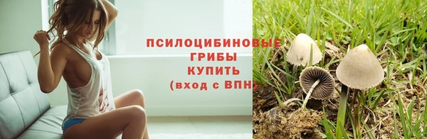 дурь Арсеньев