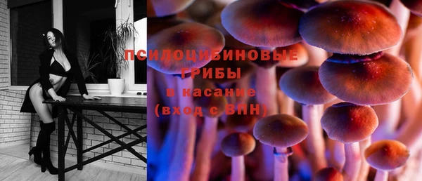 шишки Кулебаки