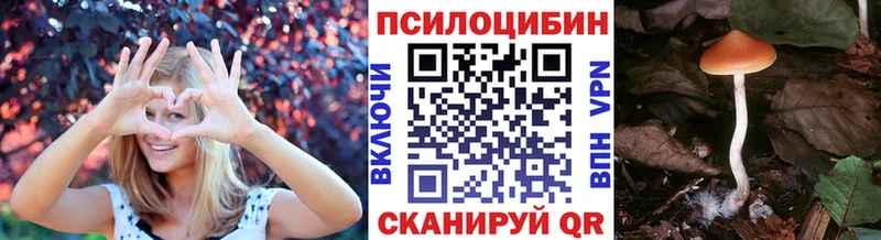 как найти наркотики Покров Псилоцибиновые грибы Cubensis